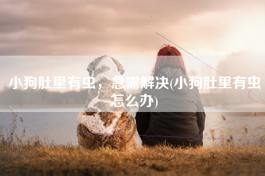 小狗肚里有虫，急需解决(小狗肚里有虫怎么办)