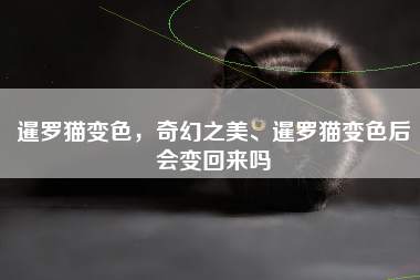 暹罗猫变色，奇幻之美、暹罗猫变色后会变回来吗