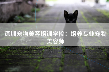 深圳宠物美容培训学校：培养专业宠物美容师
