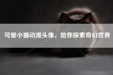可爱小猫动漫头像，陪你探索奇幻世界