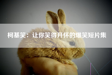 柯基笑：让你笑得开怀的爆笑短片集