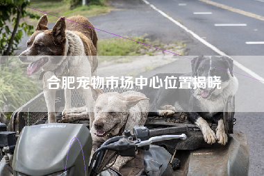 合肥宠物市场中心位置揭晓