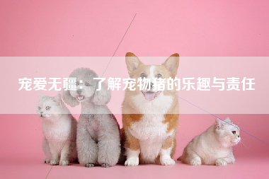 宠爱无疆：了解宠物猪的乐趣与责任