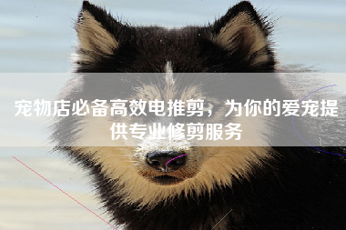 宠物店必备高效电推剪，为你的爱宠提供专业修剪服务