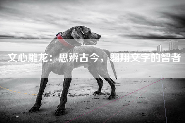 文心雕龙：思辨古今，翱翔文字的智者