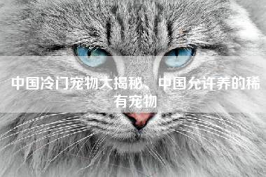 中国冷门宠物大揭秘、中国允许养的稀有宠物