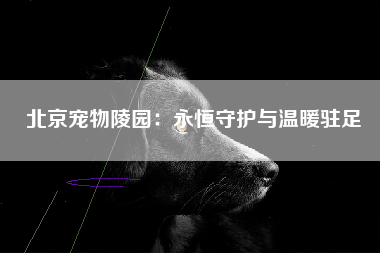 北京宠物陵园：永恒守护与温暖驻足