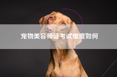 宠物美容师证考试难度如何