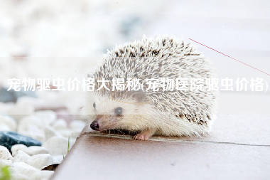 宠物驱虫价格大揭秘(宠物医院驱虫价格)