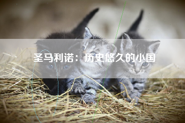 圣马利诺：历史悠久的小国
