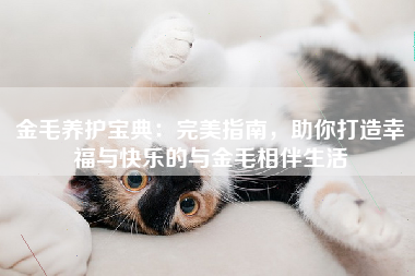 金毛养护宝典：完美指南，助你打造幸福与快乐的与金毛相伴生活