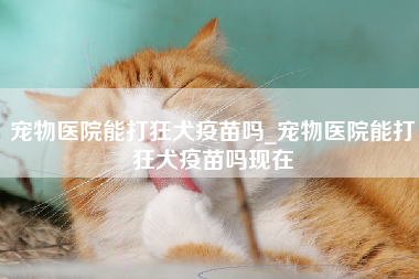 宠物医院能打狂犬疫苗吗_宠物医院能打狂犬疫苗吗现在