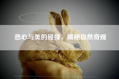 恶心与美的碰撞，揭秘自然奇观