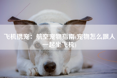 飞机携宠：航空宠物指南(宠物怎么跟人一起坐飞机)