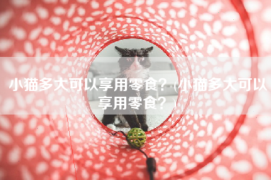 小猫多大可以享用零食？(小猫多大可以享用零食？)