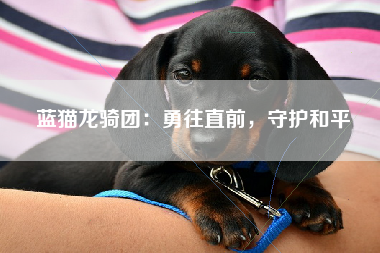 蓝猫龙骑团：勇往直前，守护和平