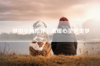 梦中小狗陪伴：温暖心灵的美梦