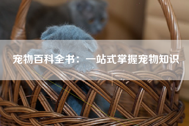 宠物百科全书：一站式掌握宠物知识