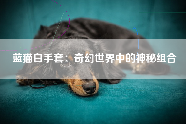 蓝猫白手套：奇幻世界中的神秘组合