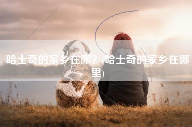 哈士奇的家乡在哪？(哈士奇的家乡在哪里)