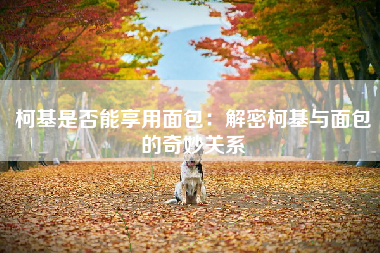柯基是否能享用面包：解密柯基与面包的奇妙关系