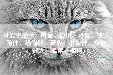 可爱小猫咪：拼音、趣玩、可爱、快乐、陪伴、喵喵叫、爱心、小伙伴、宠物、迷人、温柔、拥抱