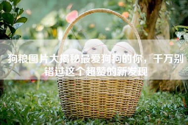 狗粮图片大揭秘最爱狗狗的你，千万别错过这个超赞的新发现