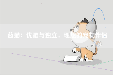 蓝猫：优雅与独立，理想的宠物伴侣
