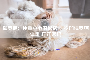 暹罗猫：体重中心的秘密-一岁的暹罗猫体重5斤正常吗