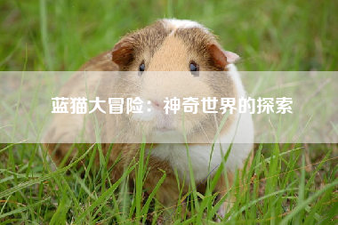 蓝猫大冒险：神奇世界的探索
