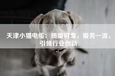 天津小猫电缆：质量可靠，服务一流，引领行业创新