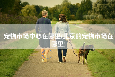 宠物市场中心在哪里(北京的宠物市场在哪里)
