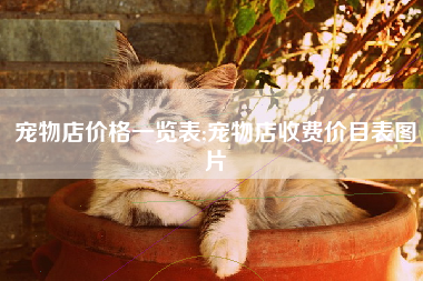 宠物店价格一览表;宠物店收费价目表图片