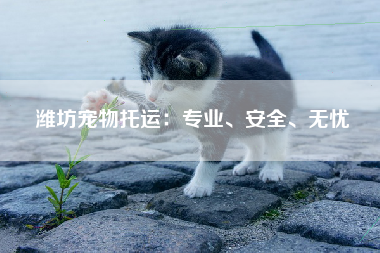 潍坊宠物托运：专业、安全、无忧