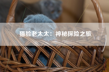 猫脸老太太：神秘探险之旅