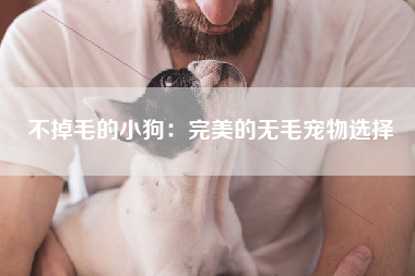 不掉毛的小狗：完美的无毛宠物选择