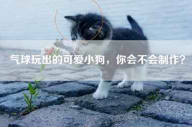 气球玩出的可爱小狗，你会不会制作？