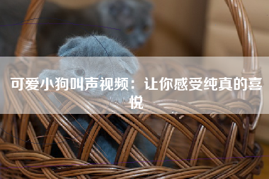 可爱小狗叫声视频：让你感受纯真的喜悦
