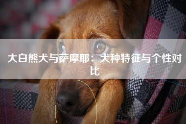 大白熊犬与萨摩耶：犬种特征与个性对比