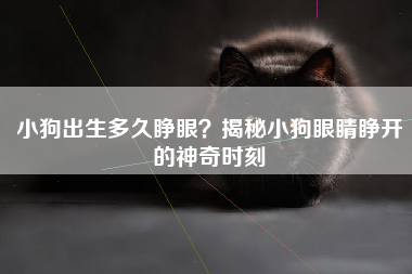 小狗出生多久睁眼？揭秘小狗眼睛睁开的神奇时刻