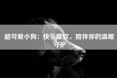 超可爱小狗：快乐撒欢，陪伴你的温暖守护