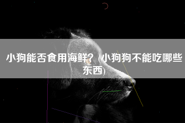 小狗能否食用海鲜？(小狗狗不能吃哪些东西)