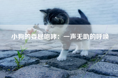 小狗的委屈咆哮：一声无助的呼唤