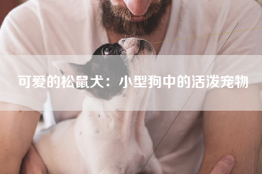 可爱的松鼠犬：小型狗中的活泼宠物