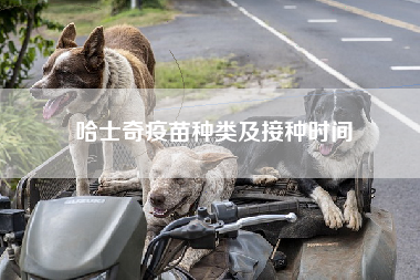 哈士奇疫苗种类及接种时间