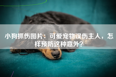 小狗抓伤图片：可爱宠物误伤主人，怎样预防这种意外？