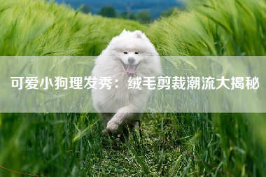 可爱小狗理发秀：绒毛剪裁潮流大揭秘