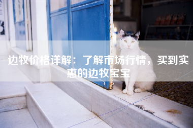 边牧价格详解：了解市场行情，买到实惠的边牧宝宝