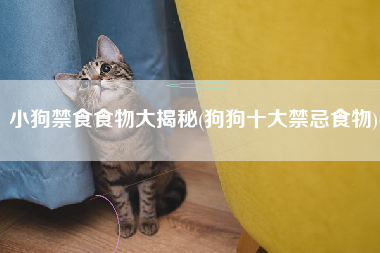 小狗禁食食物大揭秘(狗狗十大禁忌食物)