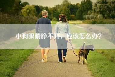 小狗眼睛睁不开，应该怎么办？